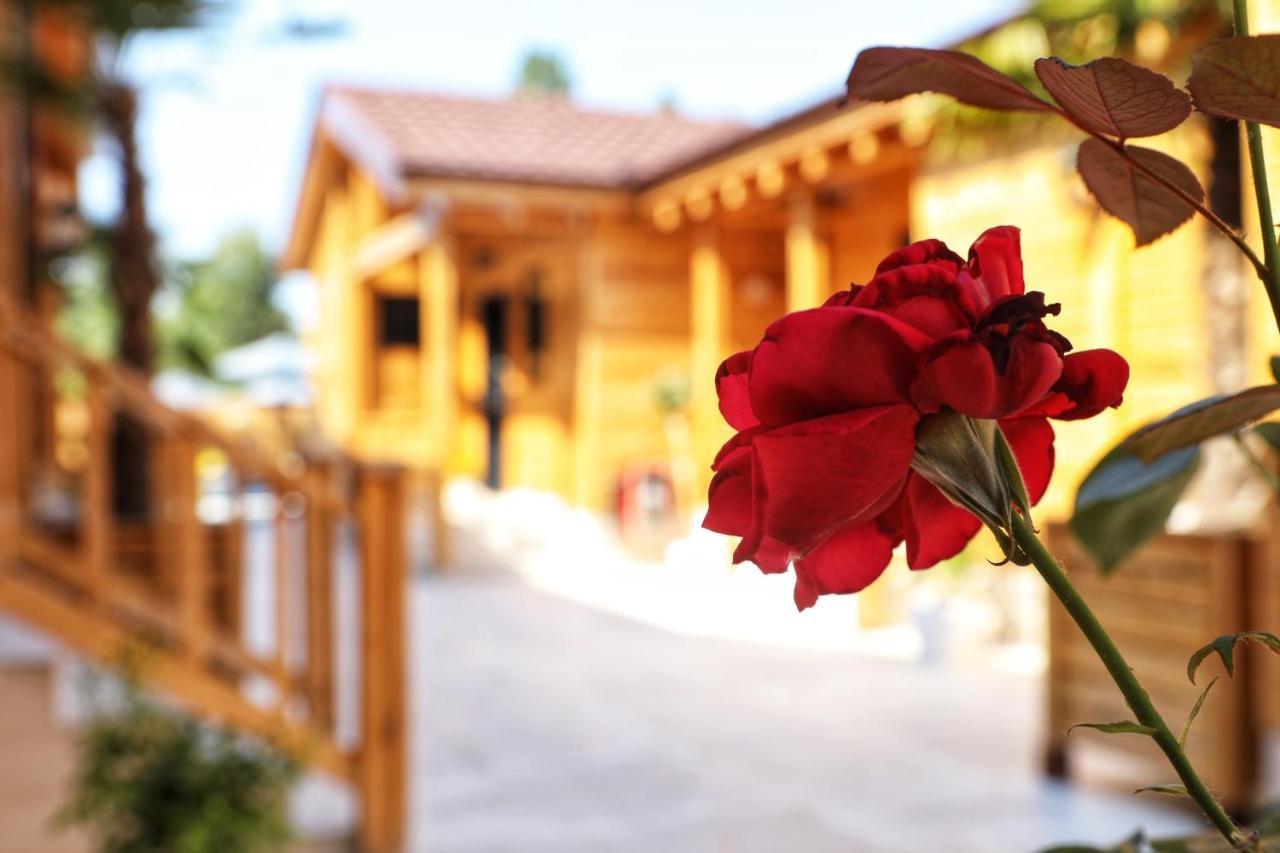 Hotel Bujtina Siar Pogradec Exterior foto