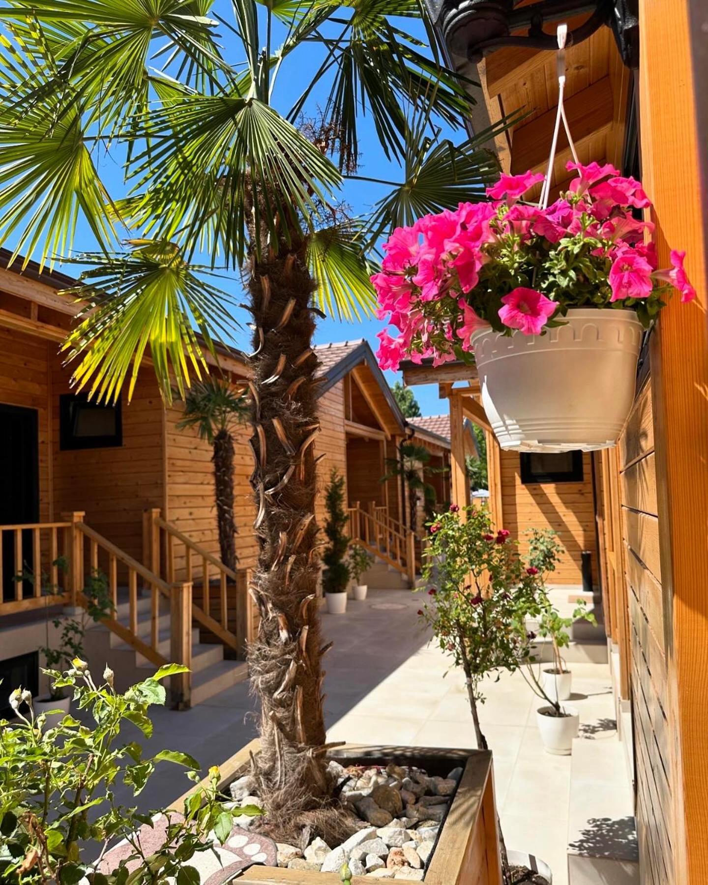 Hotel Bujtina Siar Pogradec Exterior foto