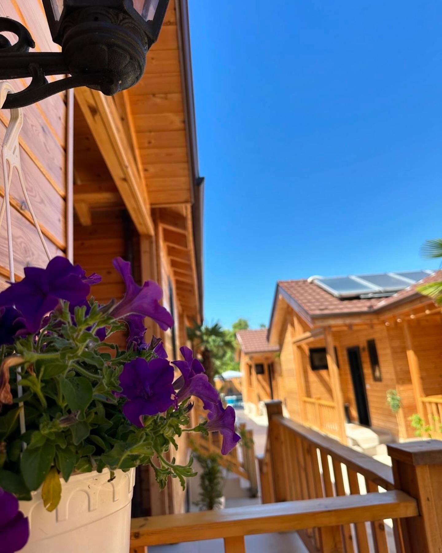 Hotel Bujtina Siar Pogradec Exterior foto